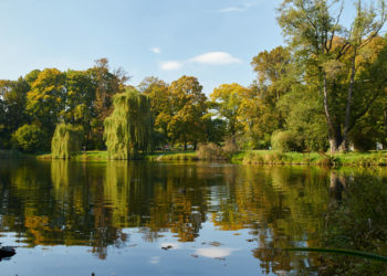 Adam Mickiewicz Park