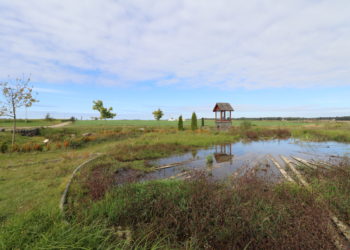 Źródła Królewskie w Żerominie